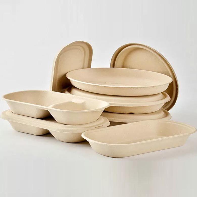Bagasse Tableware and Containers Recycling in Singapore