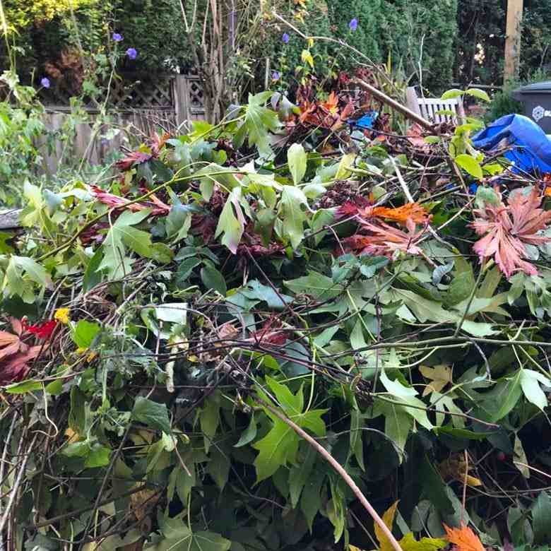 Garden & Plant Waste Recycling in Singapore